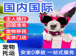 遵义茅台机场快递国际宠物托运 【国